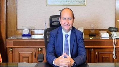 عمرو نصار: ٢ مليار و١٠٢ مليون دولار حجم التجارة بين مصر ودول الكوميسا