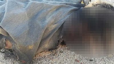 الشرطة تداهم الخلية الإرهابية المستهدفة لدير الأنبا صمويل بالمنيا