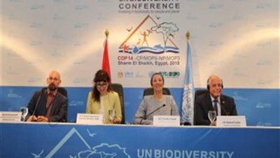 ‎وزيرة البيئة أمام منتدي الاستثمار: المرأة الإفريقية قادرة على مواجهة التحديات البيئية