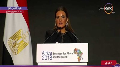 نصر: قانون الاستثمار من أبرز الإصلاحات الاقتصادية في مصر (فيديو)