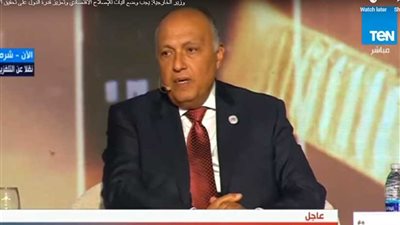 شكري: سنعمل على تفعيل اتفاقية التجارة الحرة البينية (فيديو)