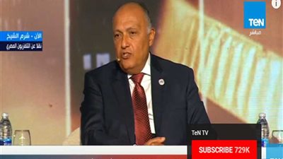 شكري: نحتاج جهدًا كبيرًا لدعم الاستثمار في إفريقيا