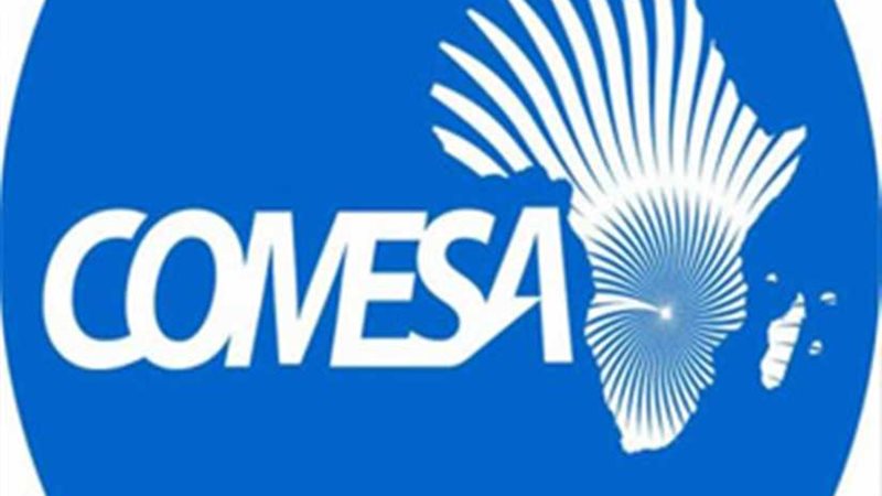 خبراء: منتدى إفريقيا