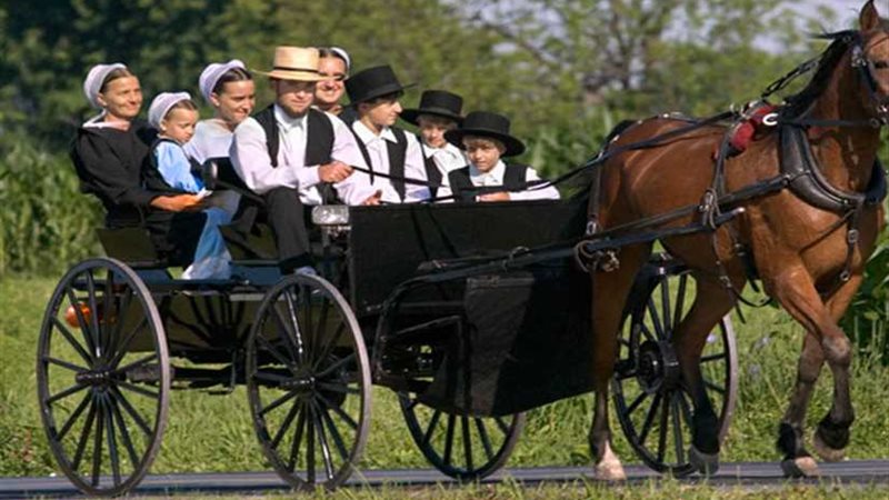 الأميش.. سلفية مسيحية