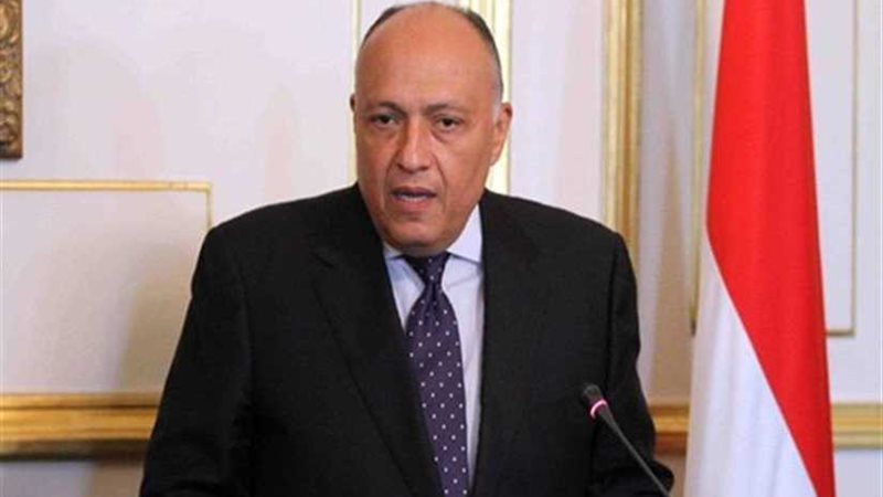 وزير الخارجية: مصر
