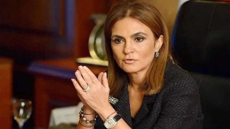 وزيرة الاستثمار: