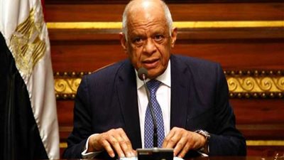 عبد العال يدين تقرير ليلاني فرحة عن السكن بمصر ويطالب الخارجية بتقديم شكوى ضدها