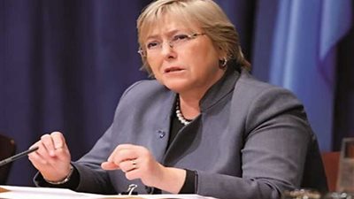 الأمم المتحدة تدعو إلى مزيد من الدفاع عن حقوق الإنسان