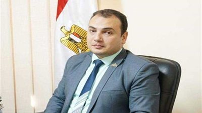 برلماني: نجاح مؤتمر إفريقيا في خمس رسائل للسيسي