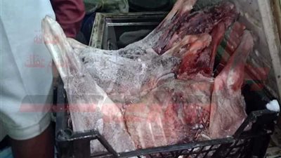 بالفيديو والصور.. ضبط 5 حمير مذبوحة بحملة فى شبرا‎