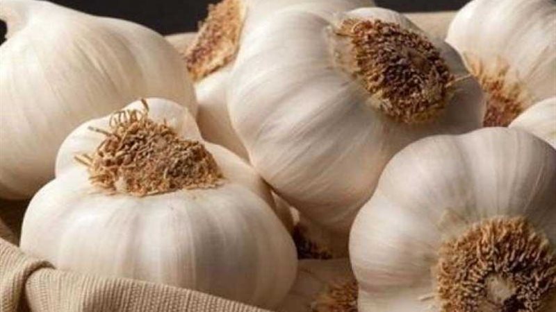 الحكومة تنفي صحة