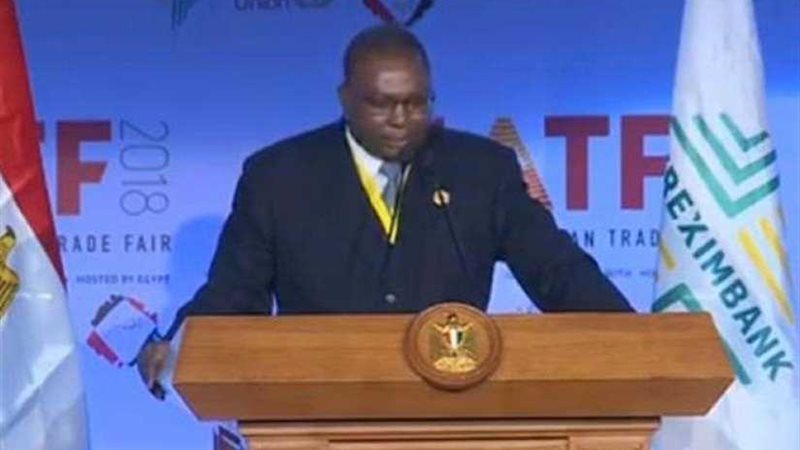 الاتحاد الافريقي: