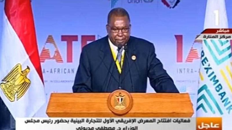 الاتحاد الافريقي: