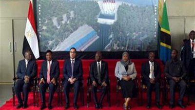 خبير: السد التنزاني.. تأكيد لدور مصر الريادي بإفريقيا