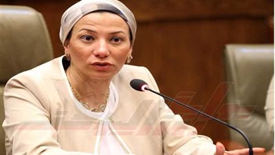 وزيرة البيئة تبحث مع الرئيس التنفيذي لصندوق المناخ الأخضر المشروع المصري