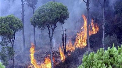 إخلاء حديقة 