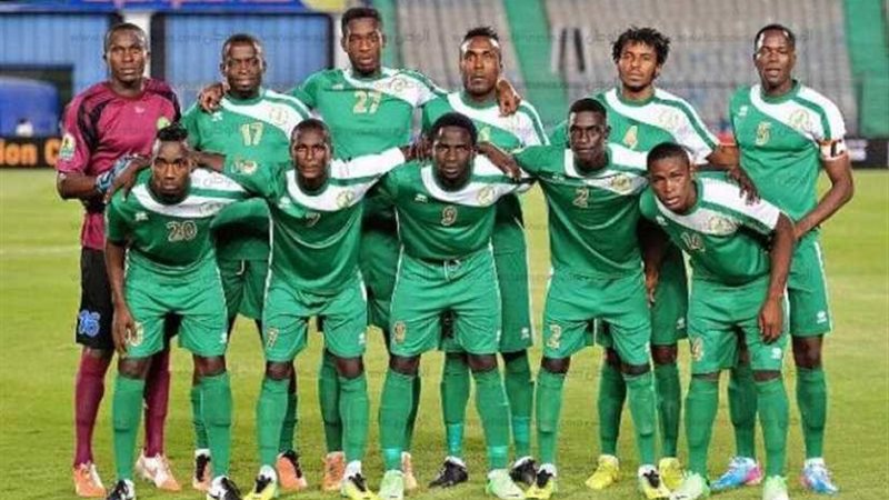 القطن الكاميروني