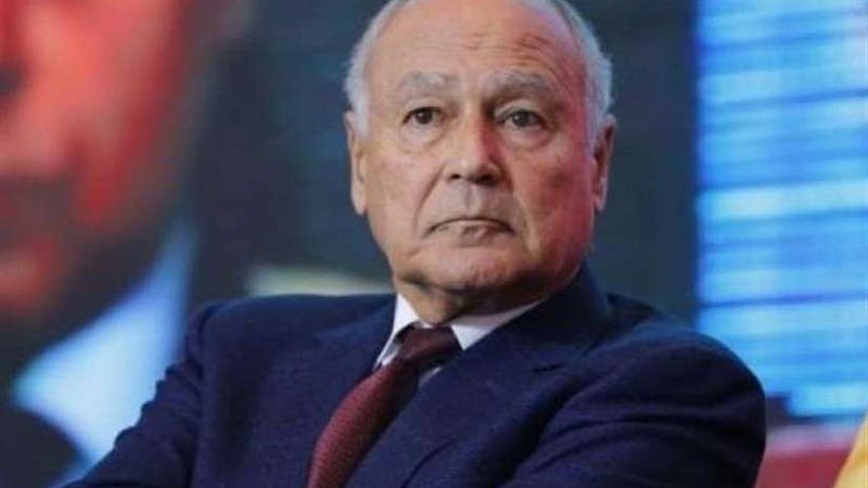 أبوالغيط يشارك في