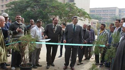 افتتاح معرض «الأراولا» بـ