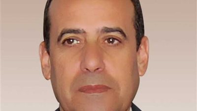 محافظ شمال سيناء يناقش التصميم المقترح لتطوير مدينة العريش