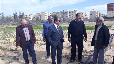 رئيس جامعة العريش يتفقد الإنشاءات الجديدة في الجامعة