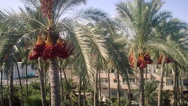 انطلاق المؤتمر الأول