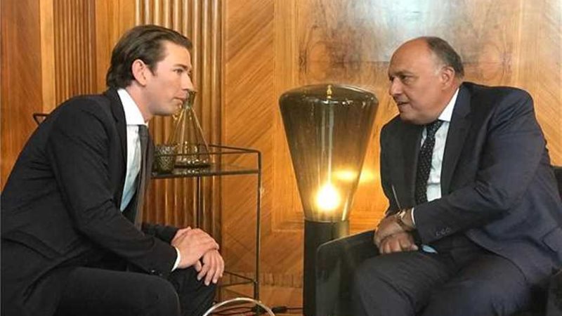 فيينا قبلة النخبة