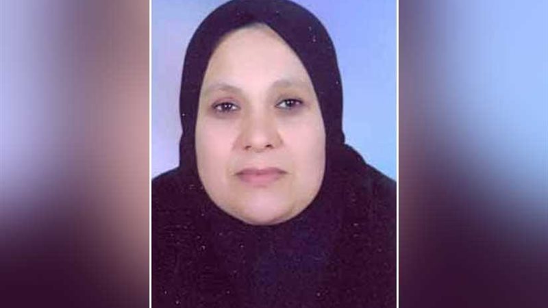 شمال سيناء تشارك