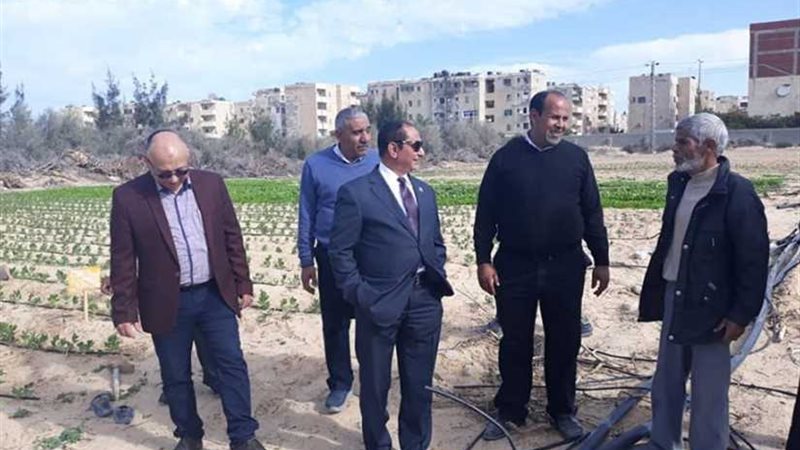 رئيس جامعة العريش