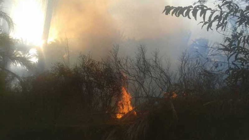 فلاح يشعل النيران