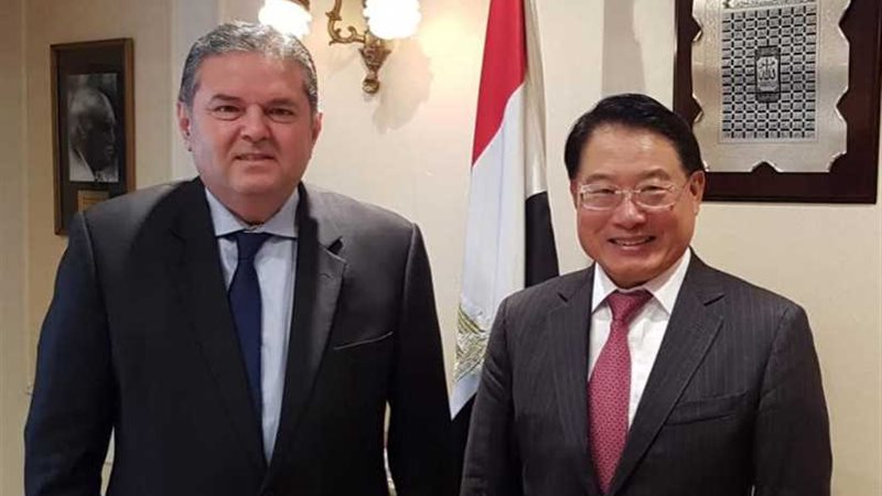 وزير قطاع الأعمال