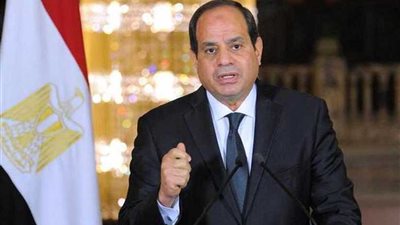 السيسي: مصر تتمتع بمناخ جيد للاستثمار في أمان