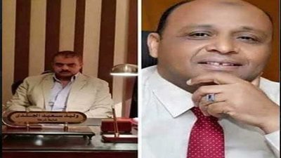 ضبط 35 مسجل خطر بمخدرات وسلاح في المحلة