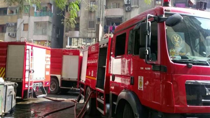 نفوق 3500 دجاجة في