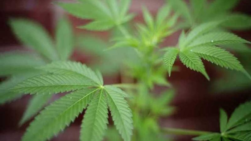 دراسة جديدة تكشف