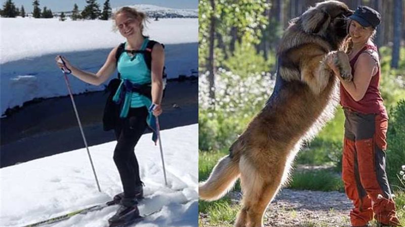 الأمن المغربي: الجناة