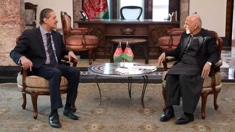 السفير المصري في