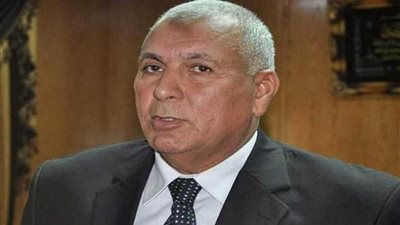 محافظ الوادي الجديد: إنشاء مركز إقليمي لتأهيل ذوي القدرات الخاصة