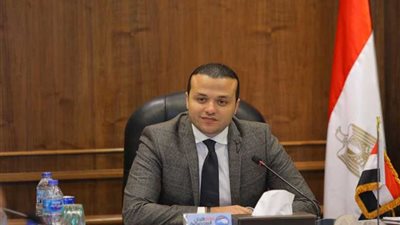 مستقبل وطن: النمسا تأخذ مصر بوابة لتحقيق المزيد من الدعم والتعاون الأوروبي مع إفريقيا