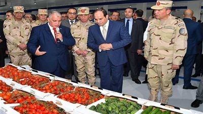 موجز 24 .. تنفيذًا لأوامر السيسي.. ثورة خضراء لخفض أسعار الغذاء