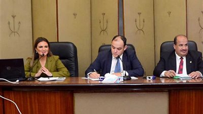 سحر نصر تعرض استراتيجية الاستثمار أمام اللجنة الاقتصادية بمجلس النواب