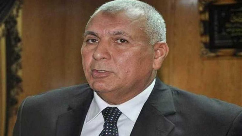 محافظ الوادي الجديد: