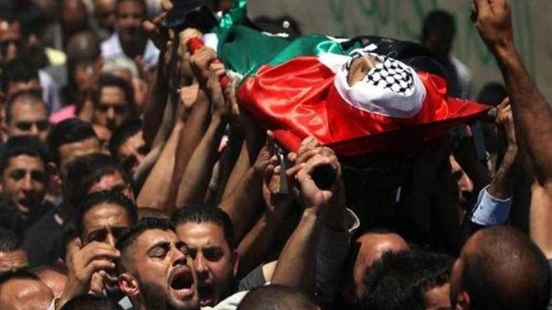 ثلاثة شهداء بينهم