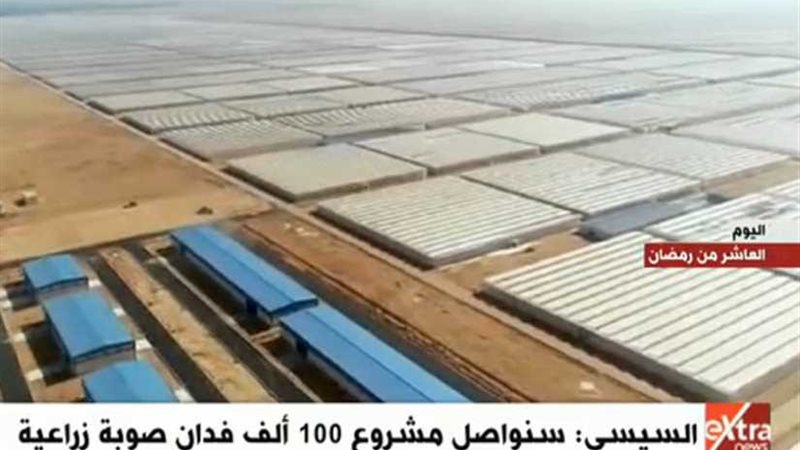 خبراء: الصوب الزراعية..