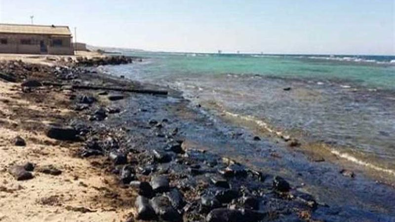 البيئة: لجنة عاجلة