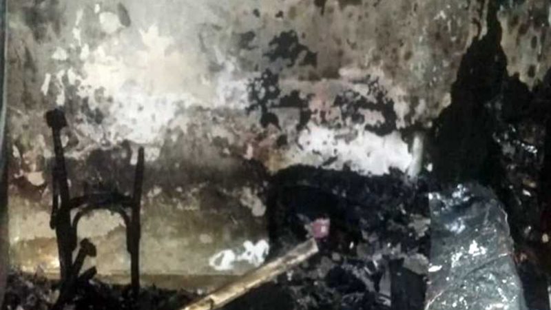 التضامن الاجتماعي