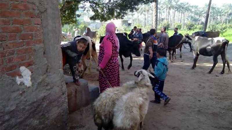 قوافل بيطرية لقرى