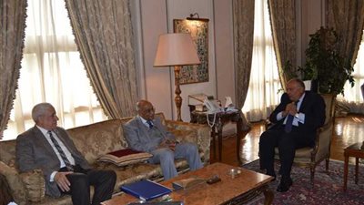 وزير الخارجية يلتقي رئيس هيئة قضايا الدولة