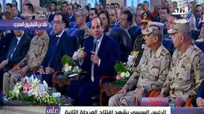 السيسي: 