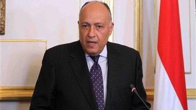 شكري يؤكد دعم مصر الكامل للسعودية فيما تتخذه لضمان أمنها واستقرارها